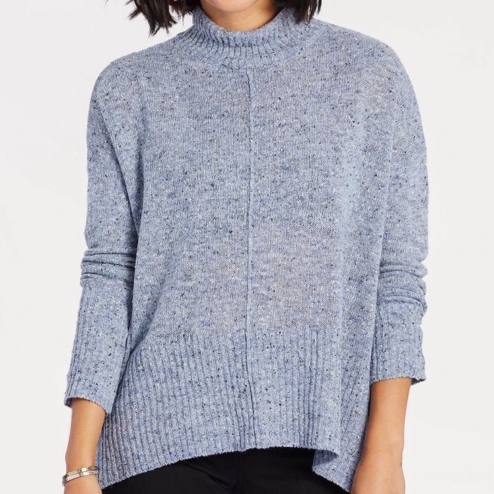 NWT Evereve Braeve mock neck pullover